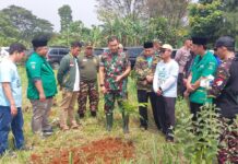 Dandim 0508 Depok Bersama GP Ansor Lakukan Penanaman Pohon dan Mancing Bersama Untuk Meriahkan HUT Kota Depok ke-26 Tahun