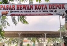 Mau di Bongkar, Ternyata Pasar Hewan Depok Sudah Berizin Resmi