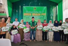 Program “UMKM BINAAN” PPP Depok, Berikan Modal Usaha, Segini Nilai dan Kouta Penerimanya