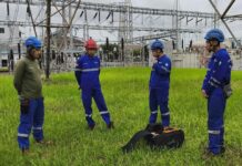 Amankan Jaringan Transmisi, PLN Lakukan Perbaikan Pentanahan pada Jaringan Transmisi 150.000 Volt