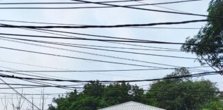 Diduga Belum Kantongi Izin, Pembangunan Cafee Lakukan Perusakan Aset Negara