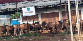 Dugaan Komersialisasi Lahan Pemkot di Tapos Ternyata Belum Miliki Izin