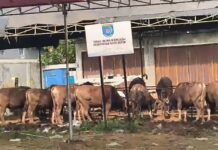 Lahan Negara di Tapos Depok Disulap Jadi Komersil, Siapa Tanggung Jawab ?
