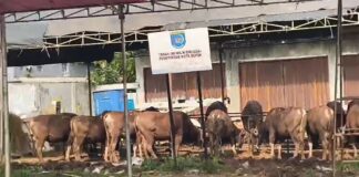 Lahan Negara di Tapos Depok Disulap Jadi Komersil, Siapa Tanggung Jawab ?