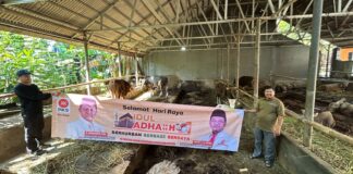 Merajut Harmoni di Hari Tasyrik: PKS Depok Sebar Ratusan Hewan Kurban, Ketuk Pintu Kepedulian Sesama